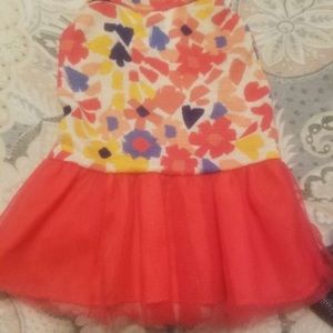 Xs dog clothes with lots of other puppy items